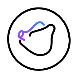 No esophageal fistula, no pulmonary vein stenosis, no phrenic nerve injury, safe icons.